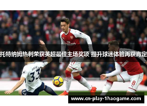 托特纳姆热刺荣获英超最佳主场奖项 提升球迷体验再获肯定